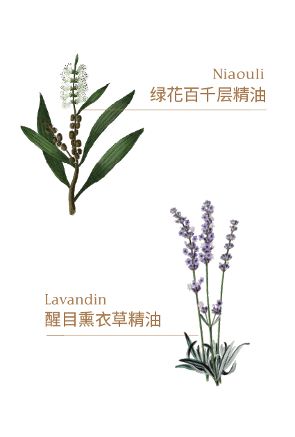 Master Series 大师复方系列 Master Series 大师复方系列